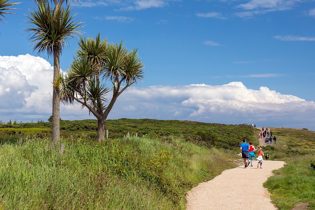 Irland, Grafschaft Fingal, nördliche Vororte von Dublin, Howth, Klippenwanderwege, Familienwanderer