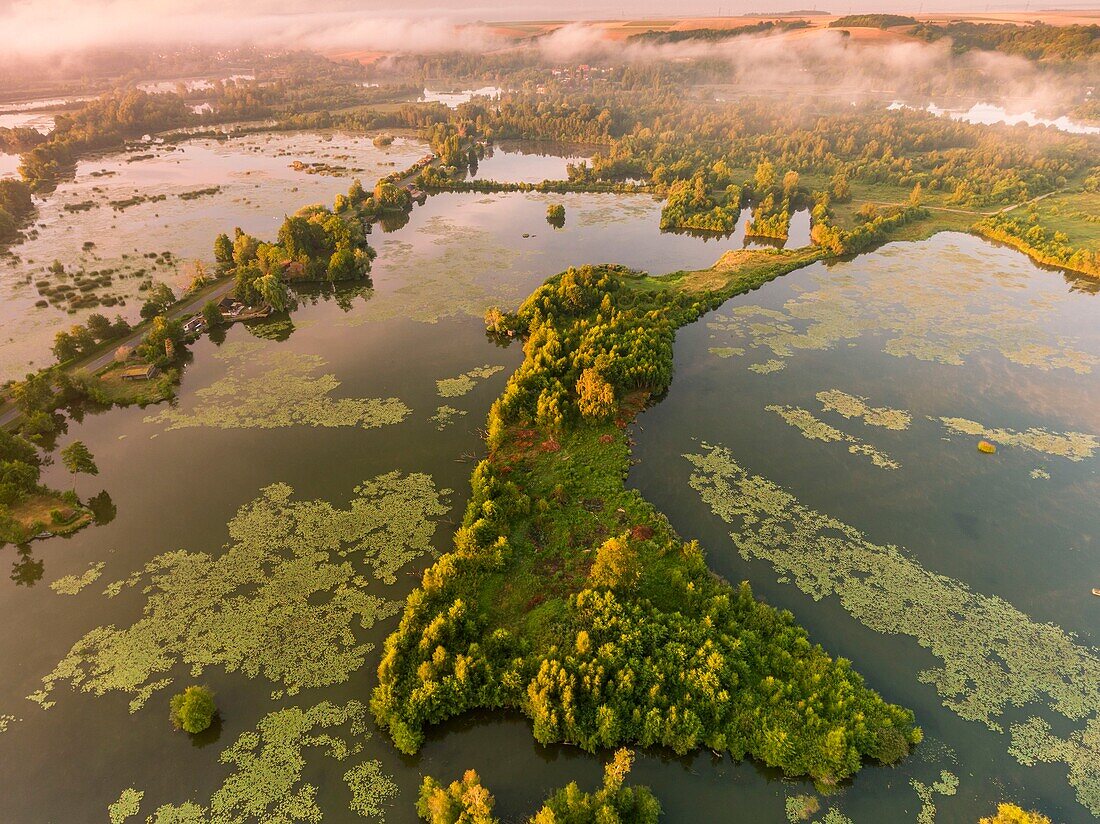 France, Somme, Valley of the Somme, Long, the swamps of the Somme at Long in the early morning, the valley of the Somme still misty (vue aérienne)