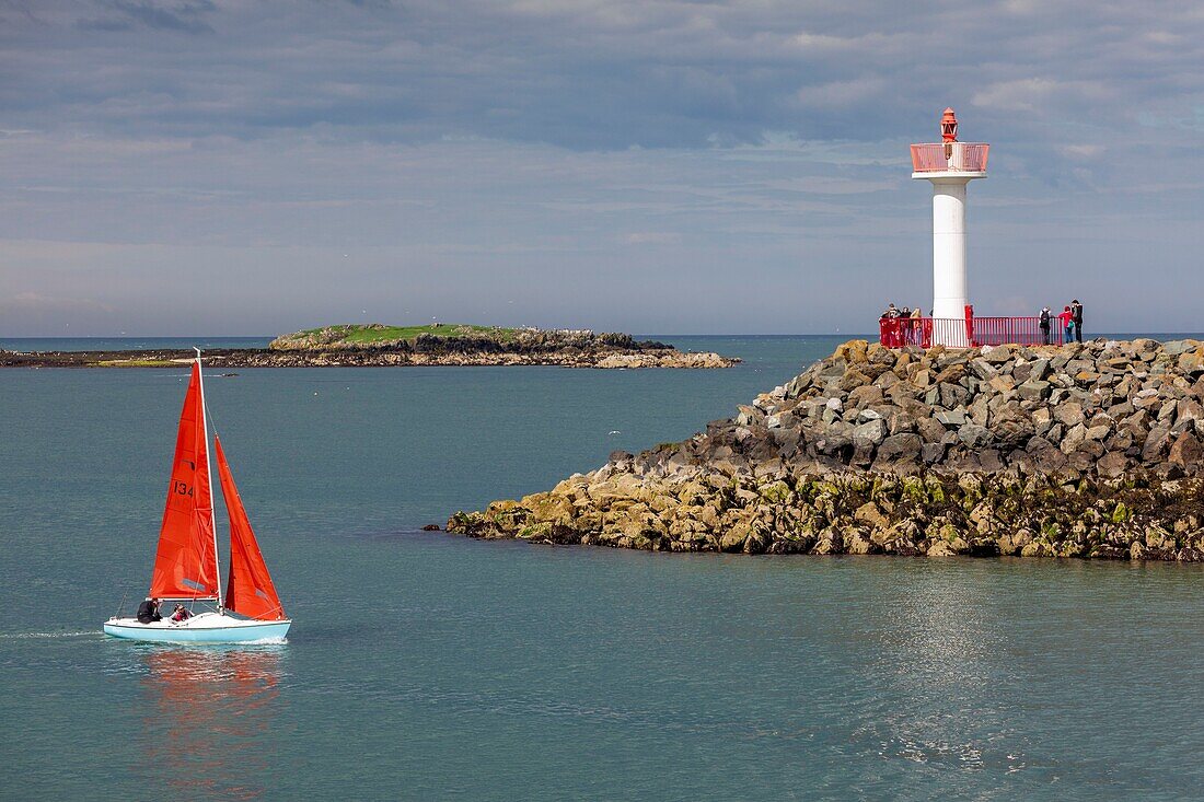 Ireland, Fingal County, northern suburbs of Dublin, Howth, sailboat entering the harbor, passing beacon lighthouse