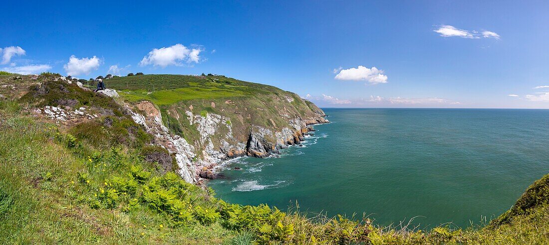 Ireland, Fingal County, Northern Dublin suburbs, Howth, cliff hiking trails