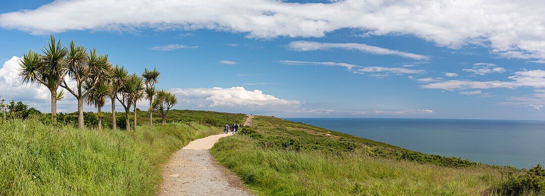 Ireland, Fingal County, northern Dublin suburbs, Howth, cliff hiking trails, family hikers