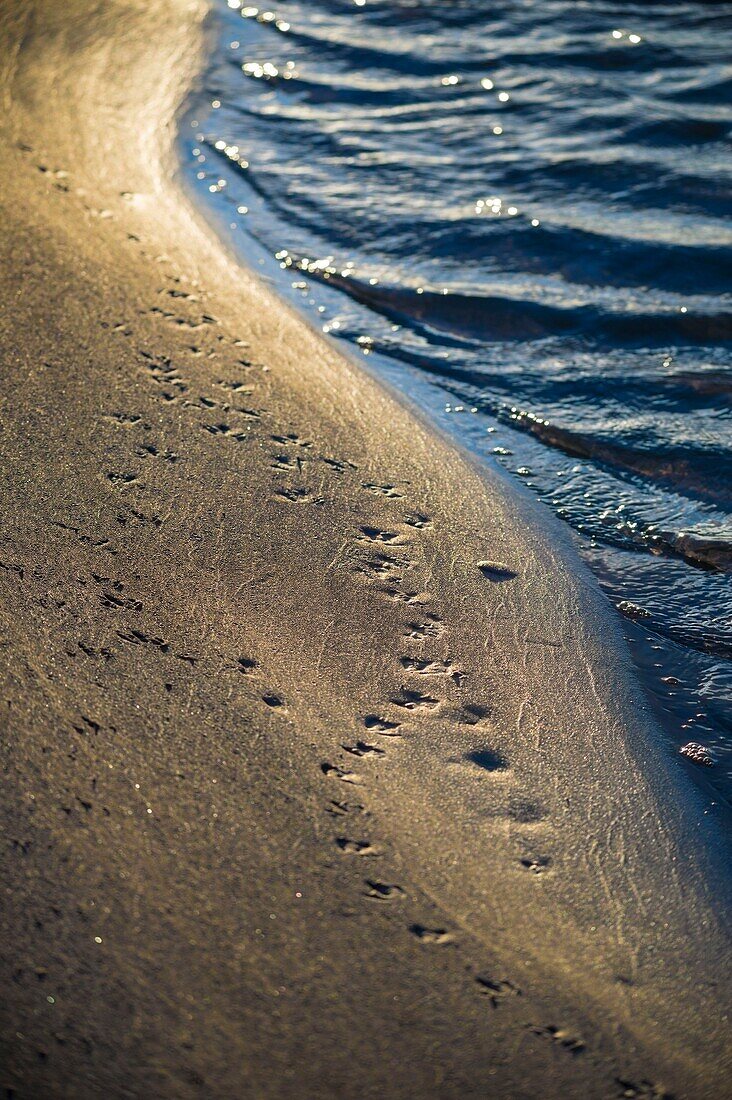 Denmark, North Jutland, the tip of Grenen is a strip of land located in the far north of Denmark, near the town of Skagen, it is the meeting point of two straits, Skagerrak and Kattegat