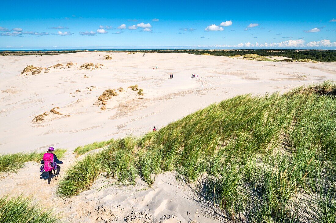 Denmark, North Jutland, Råbjerg Mile is a mobile coastal dune located between Skagen and Frederikshavn, it is the largest mobile dune in Northern Europe with an area of 1 square km for a maximum height of 40 m, the dune continues to migrate east-northeast towards Kattegat at a rate of more than 15 m a year