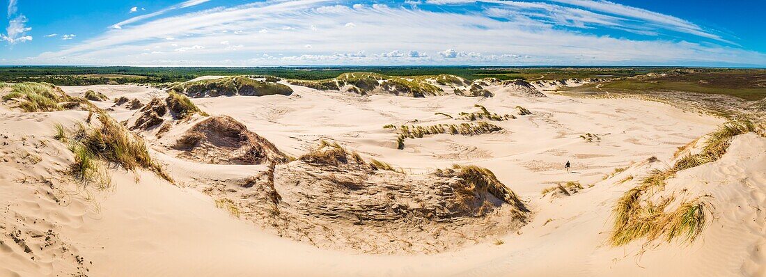 Denmark, North Jutland, Råbjerg Mile is a mobile coastal dune located between Skagen and Frederikshavn, it is the largest mobile dune in Northern Europe with an area of 1 square km for a maximum height of 40 m, the dune continues to migrate east-northeast towards Kattegat at a rate of more than 15 m a year