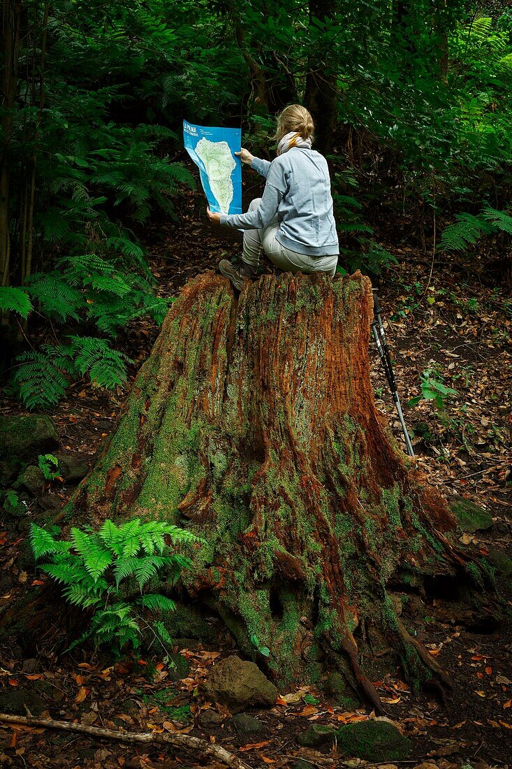 Spanien, Kanarische Inseln, La Palma, Wanderer auf einem Baumstamm sitzend in einem Regenwald