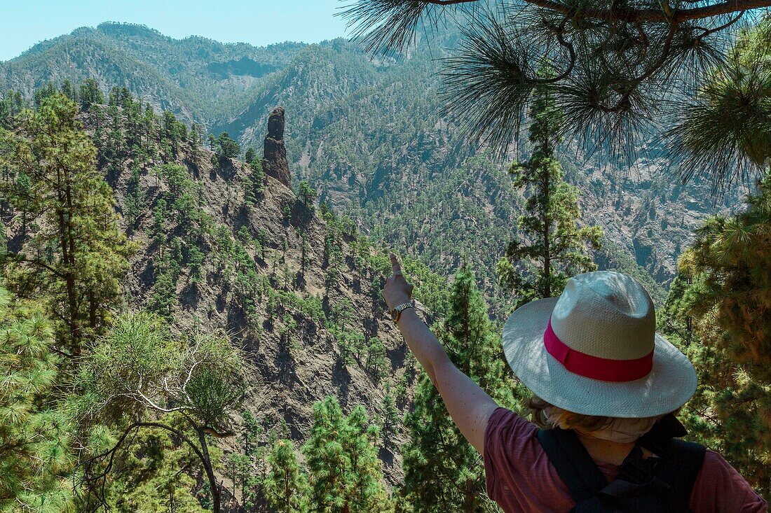 Spain, Canary Islands, La Palma, hiker on a trail in an Atlantic pine forest