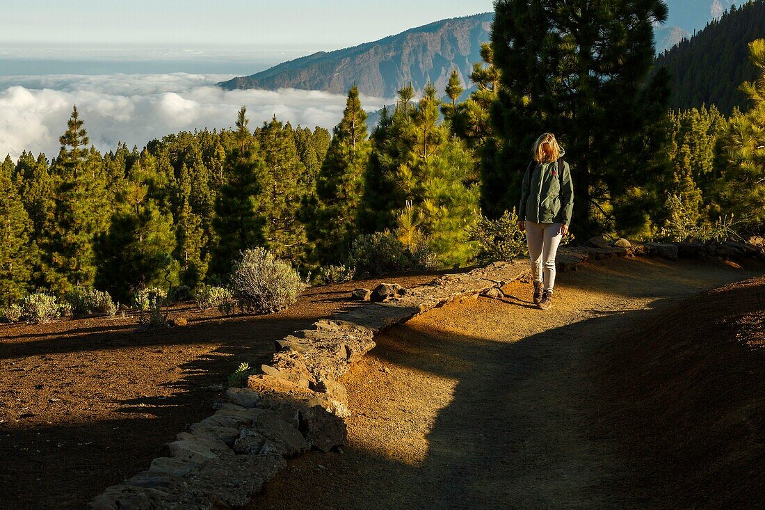 Spain, Canary Islands, La Palma, hiker on a trail in lush greenery in a mountainous and volcanic environment