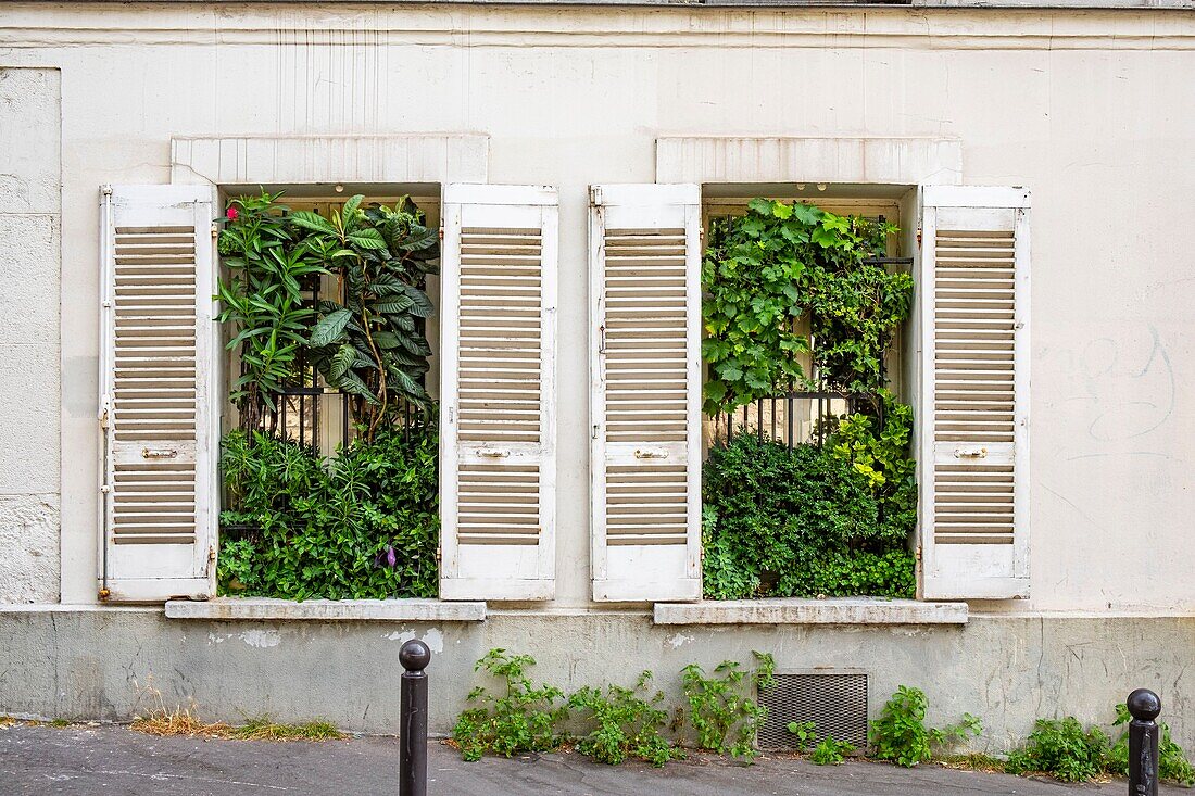 France, Paris, Rue Lepic