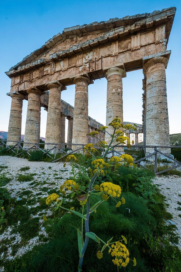 Italien, Sizilien, Segeste, griechischer Tempel, im dorischen Stil, aus dem 5.