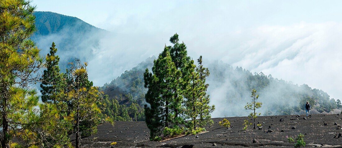 Spain, Canary Islands, La Palma, hiker on a trail in lush greenery in a mountainous and volcanic environment