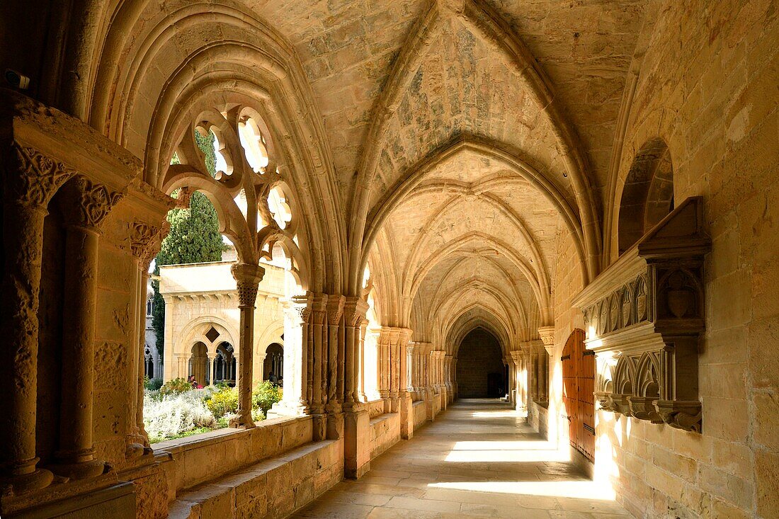 Spain, Catalonia, Tarragona Province, Conca de Barbera comarca, Vimbodi, La ruta del Cister, Monastery Santa Maria de Poblet, listed as World Heritage by UNESCO, the cloister