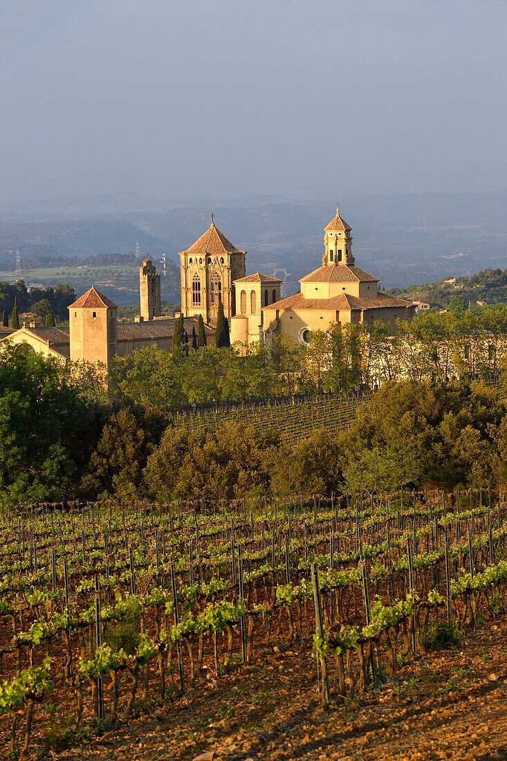 Spain, Catalonia, Tarragona Province, Conca de Barbera comarca, Vimbodi, La ruta del Cister, Monastery Santa Maria de Poblet, listed as World Heritage by UNESCO