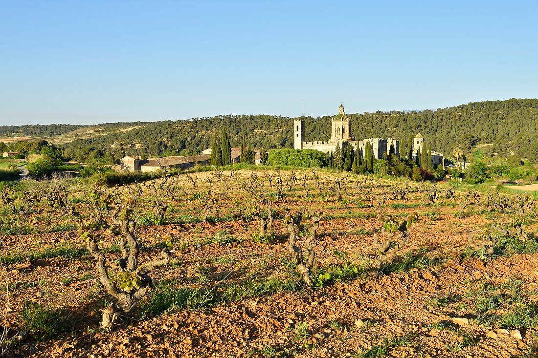 Spain, Catalonia, Tarragona Province, Alt Camp comarca, La ruta del Cister, Aiguamurcia, monastery of Santes Creus