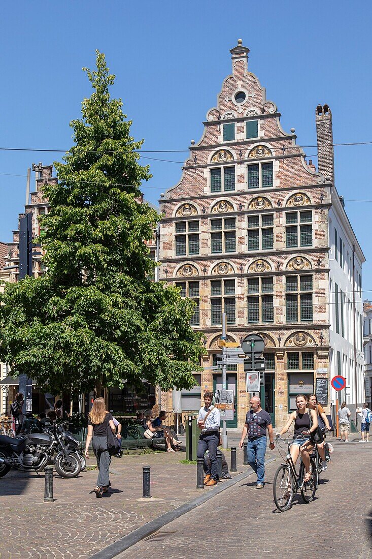 Belgium, East Flanders, Ghent, house of the crowned heads, Renaissance style, located rue du Château (Burgstraat)