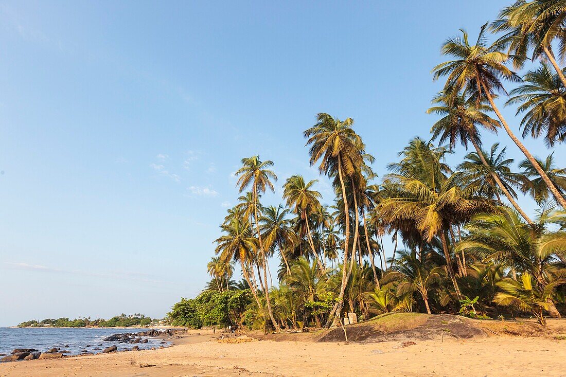 Kamerun, Region Süd, Departement Ozean, Kribi, Sandstrand und Palmen am Meer