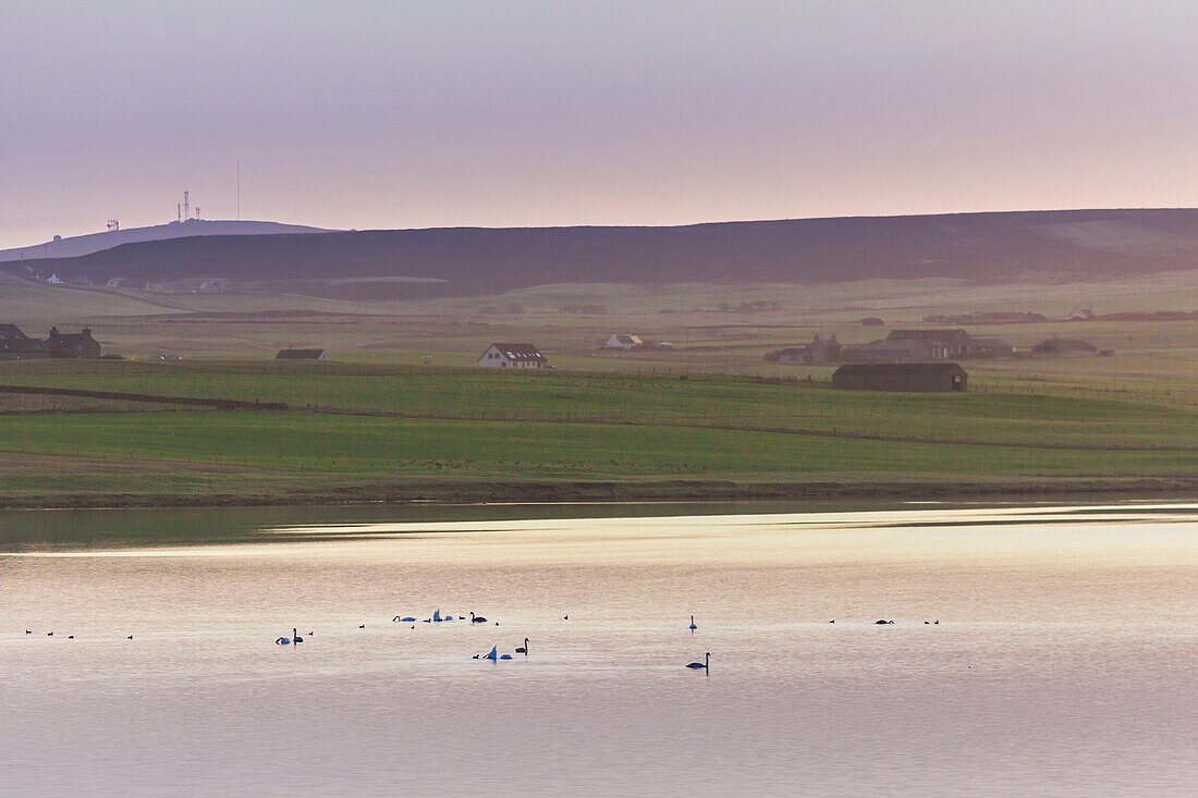 United Kingdom, Scotland, Orkney Islands, Mainland, sunrise over Loch Harray from the Ring of Brodgar, Heart of Neolithic Orkney, listed a World Heritage Site by UNESCO