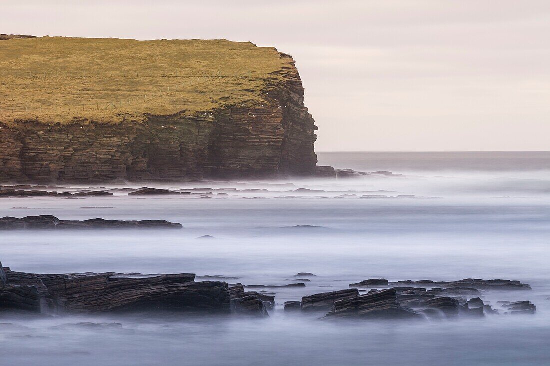 Vereinigtes Königreich, Schottland, Orkney-Inseln, Festland, Birsay Bay, Blick auf die felsige Küste und die kleine Insel Brough of Birsay