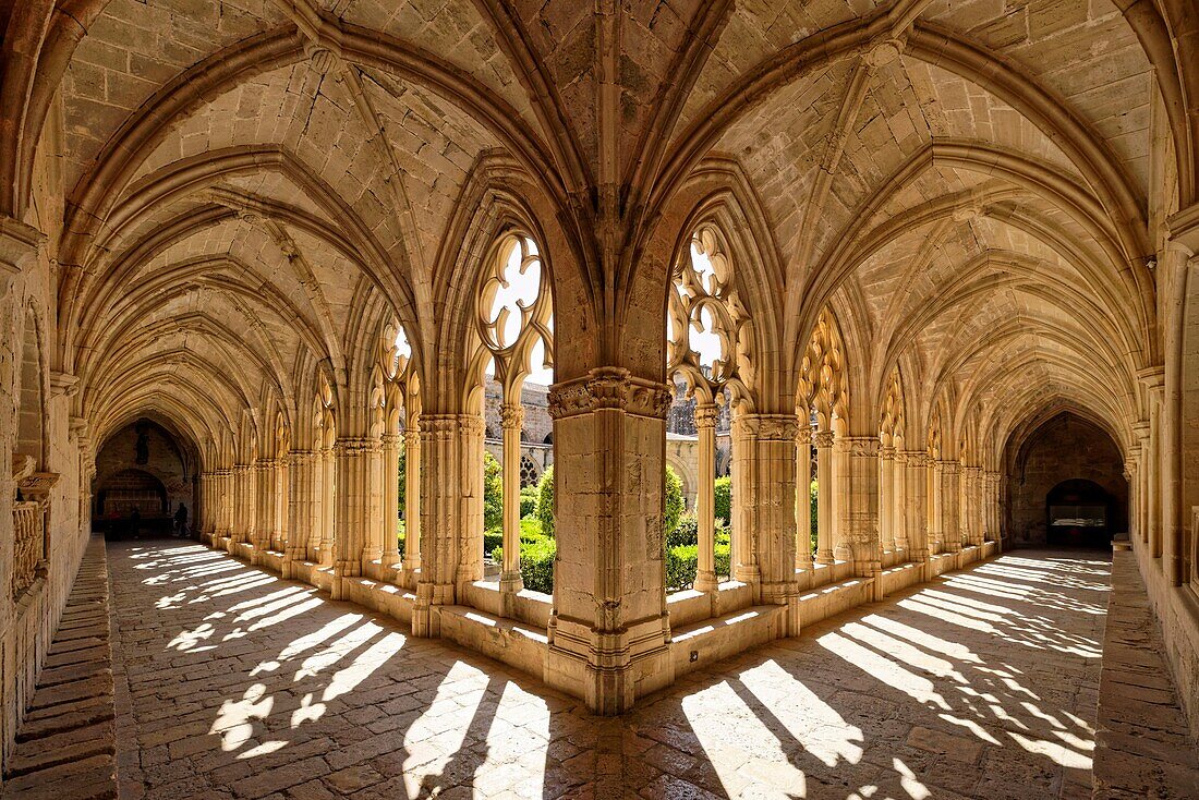 Spain, Catalonia, Tarragona Province, Alt Camp comarca, La ruta del Cister, Aiguamurcia, monastery of Santes Creus, the cloister