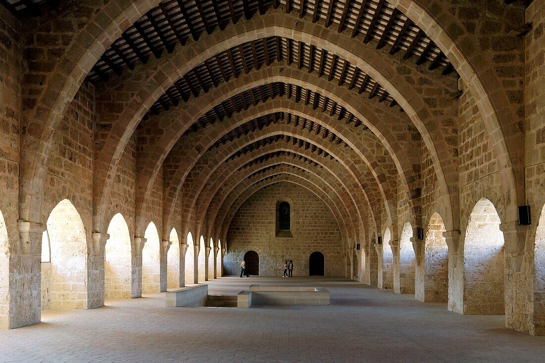 Spain, Catalonia, Tarragona Province, Alt Camp comarca, La ruta del Cister, Aiguamurcia, monastery of Santes Creus, Dormitory