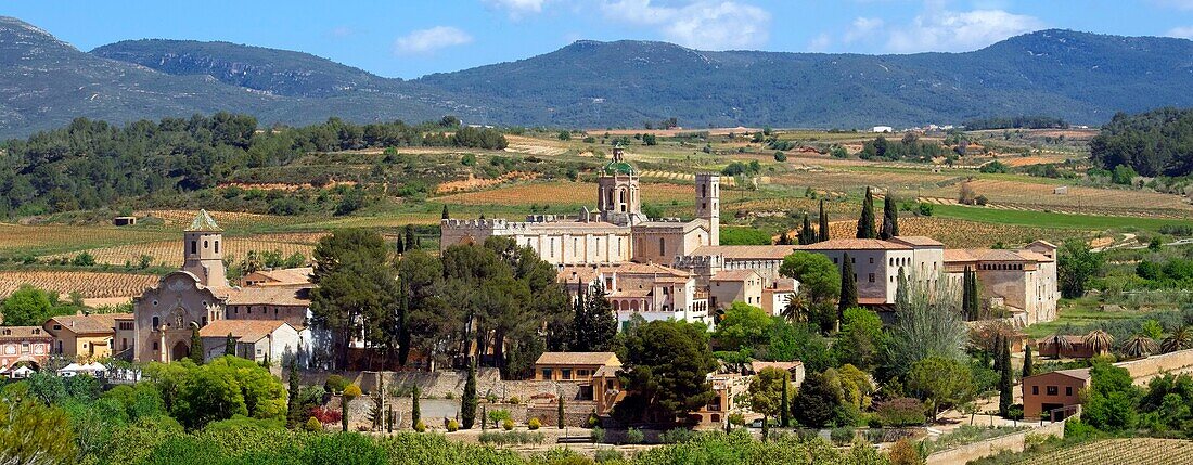 Spain, Catalonia, Tarragona Province, Alt Camp comarca, La ruta del Cister, Aiguamurcia, monastery of Santes Creus