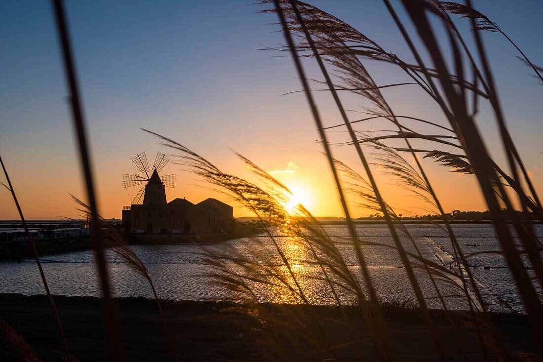 Italy, Sicily, Marsala, Saline Dello Stagnone, salt marshes, windmill