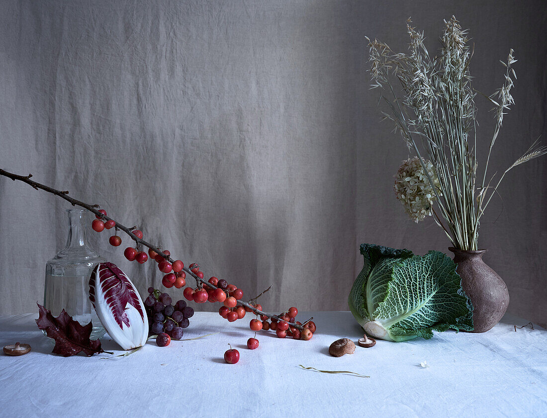 Artistic still life featuring tiny red crab apples, a split radicchio, and a lush savoy cabbage arranged on a textured grey backdrop with subtle lighting.