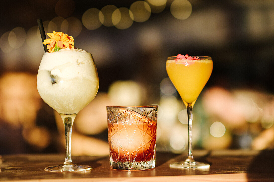 A selection of colorful cocktails displayed on a wooden bar counter, illuminated by warm, inviting light. Each drink is uniquely garnished, showcasing a range of glass styles and vibrant colors