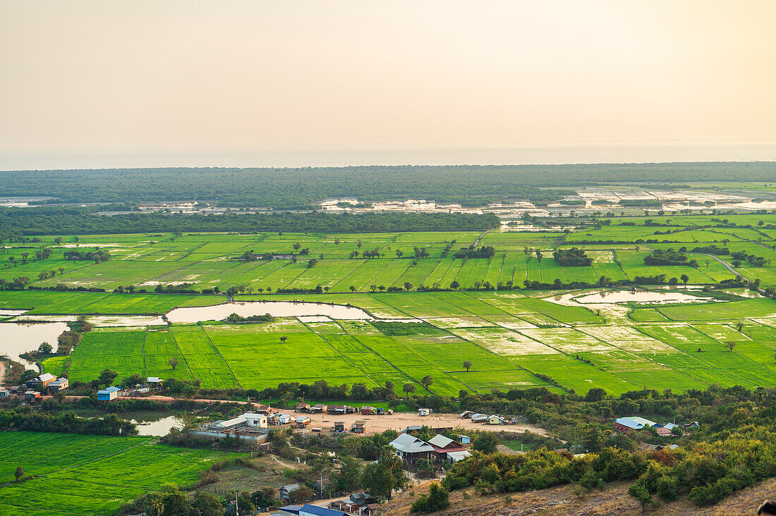 Sweeping aerial view capturing the lush green rice paddies near Siem Reap, Cambodia, illustrating a serene agricultural landscape.