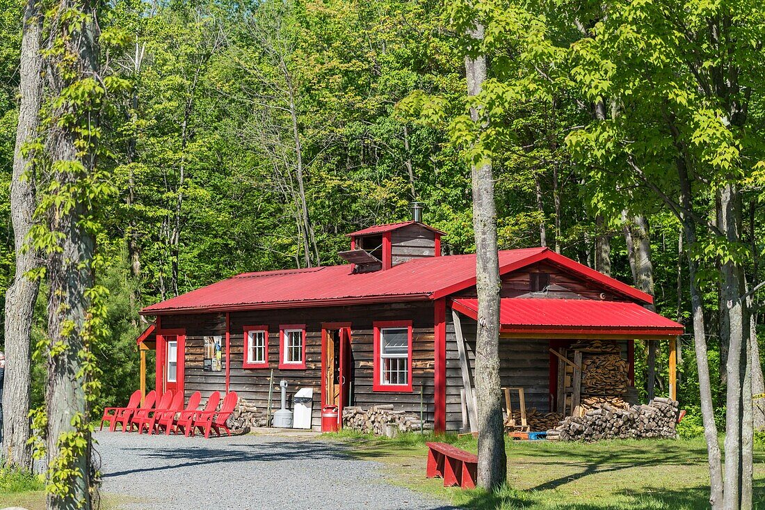 Canada, Quebec, Trois-Rivières, The Sugar Shack Chez Dany