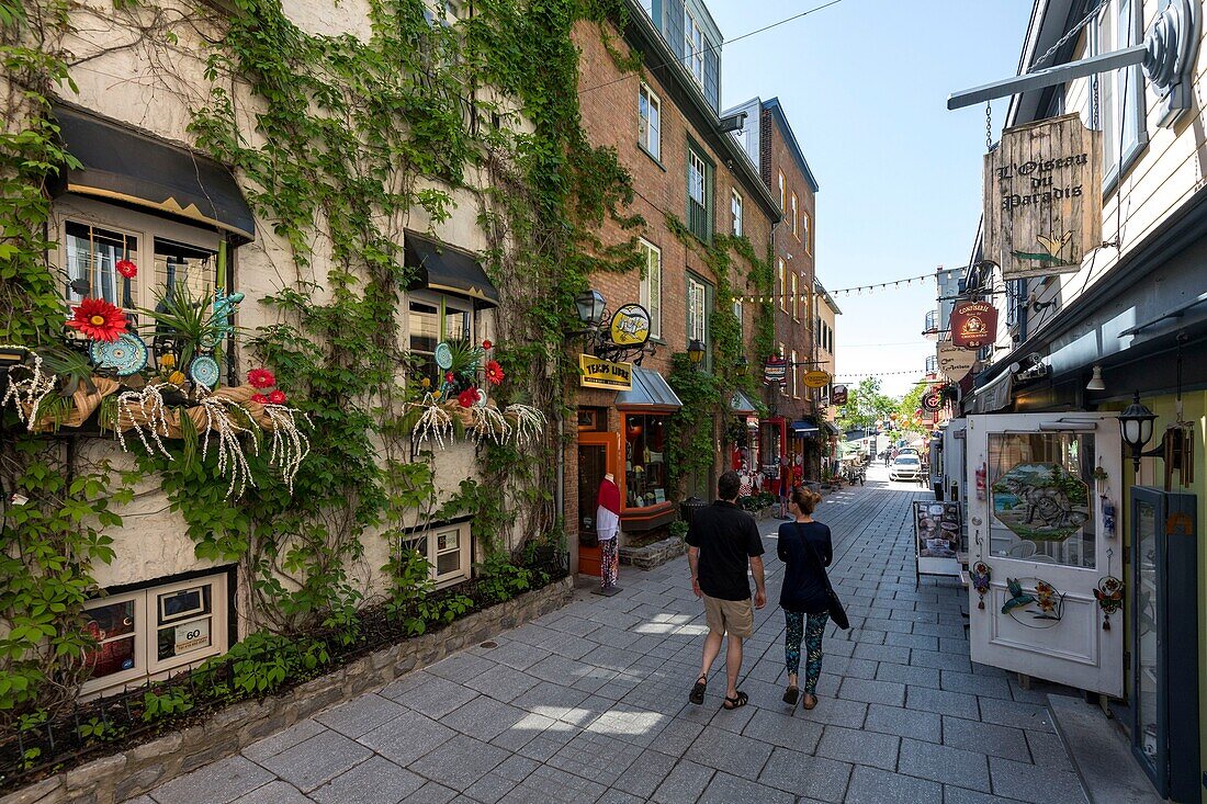 Canada, Quebec, Quebec City, Petit Champelain Street