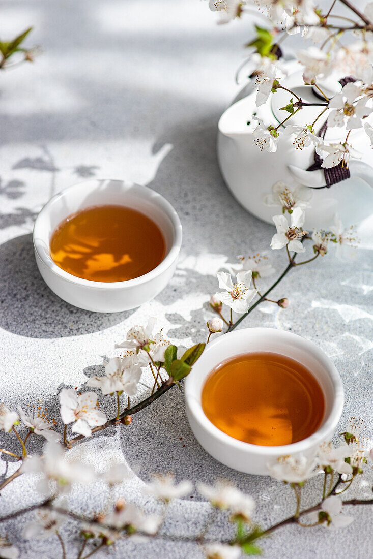 Two cups of warm tea accompanied by the delicate white flowers of cherry blossoms, casting soft shadows on a textured surface