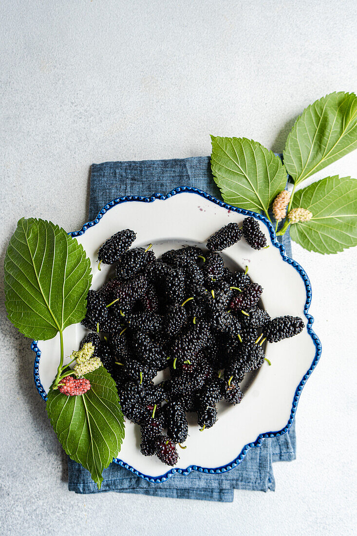 Draufsicht auf reife Maulbeeren, serviert in einer stilvollen weißen Schale mit blauem Rand, begleitet von frischen Blättern, arrangiert auf einem grauen Hintergrund mit einer Jeans-Serviette.