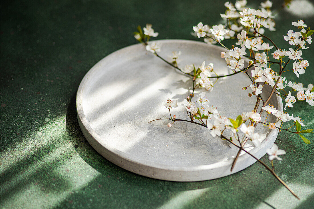 Eine ruhige Komposition mit Kirschblüten, die auf einer runden Betonplatte ruhen, wobei das Sonnenlicht weiche Schatten auf einen strukturierten grünen Hintergrund wirft