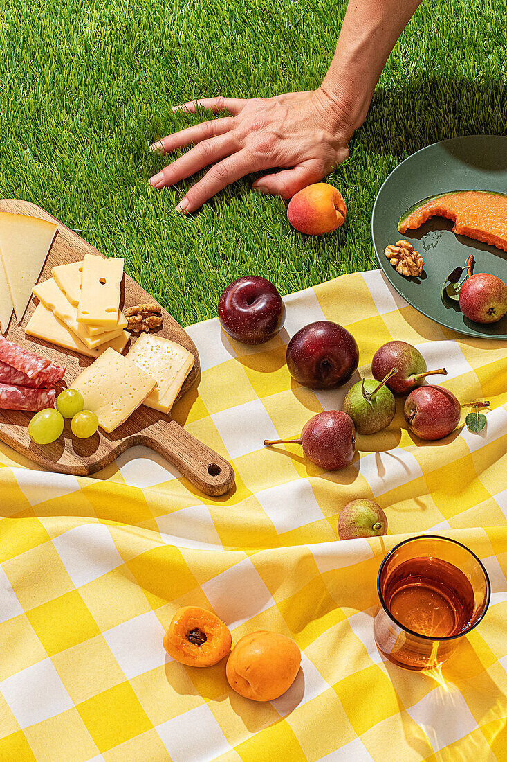 Eine lebhafte Sommer-Picknick-Szene auf einer Wiese mit einem gelben, schachbrettartigen Tuch, auf dem eine Käseplatte, Obst und Aufschnitt liegen. Die Hand einer anonymen Person greift in den Rahmen und verleiht dem Stillleben eine dynamische Note.