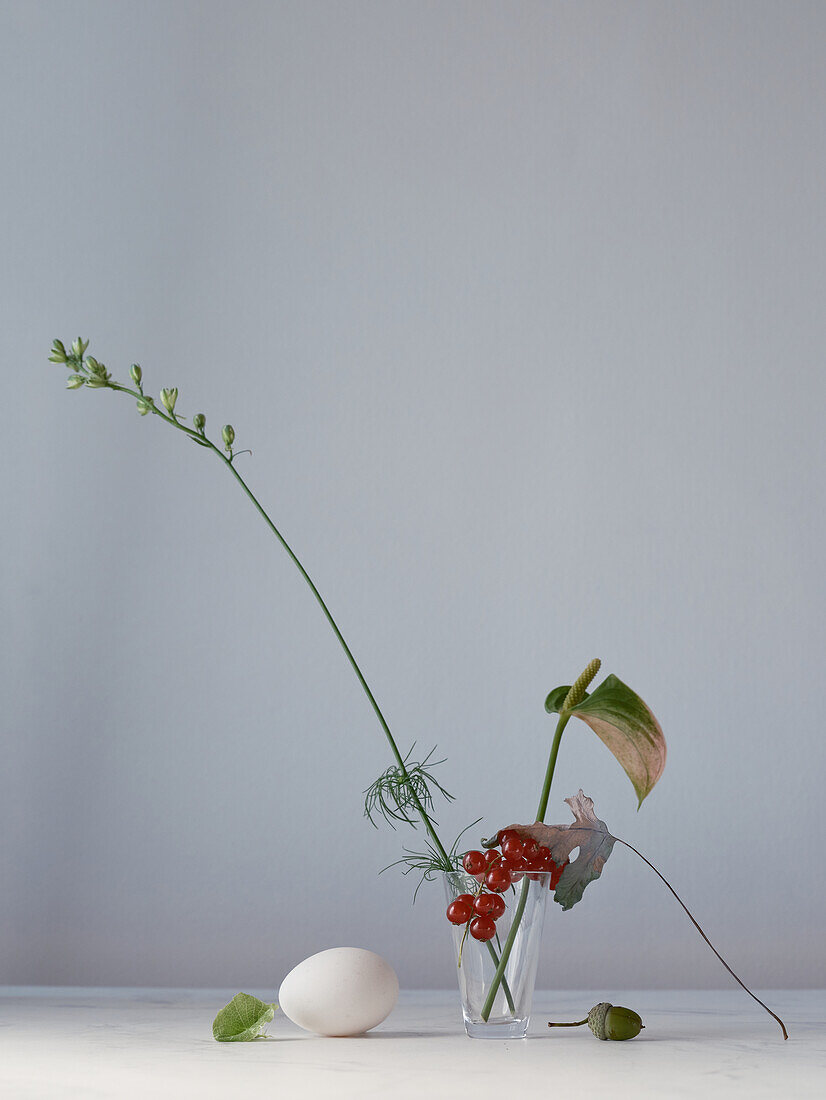 A serene and minimalist still life composition featuring a fresh egg, currants, a sprig with green leaves and delicate tendrils placed asymmetrically in a clear glass vase on a neutral background