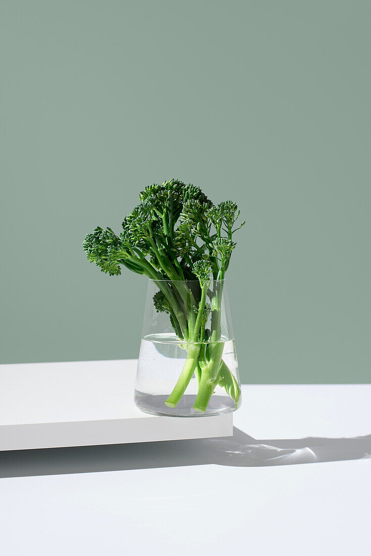 Fresh broccolini stalks, also known as tenderstem or baby broccoli, are displayed in a clear glass jar filled with water, showcased on a modern minimalist setting with soft lighting and a shadow play.