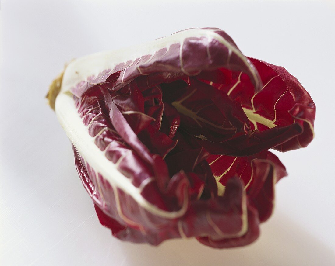 Radicchio (Sorte: Rossa di Verona)