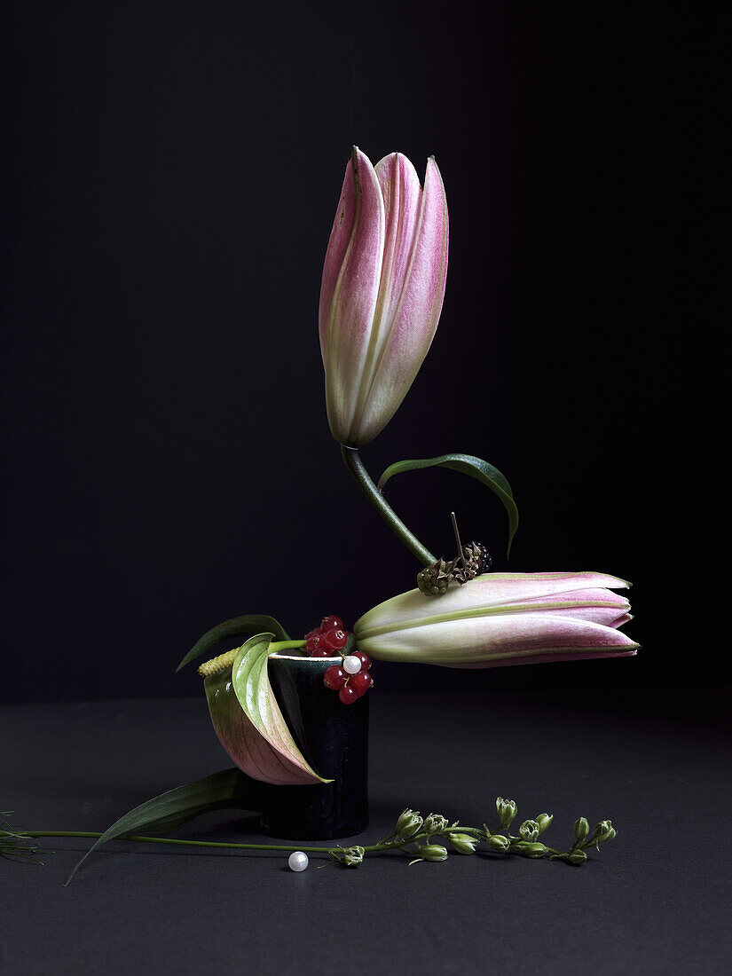 An image featuring a pink lily with its delicate petals partially open, perched in an elegant black vase The dark background highlights the subtle hues and organic textures of the flower, including vibrant green leaves and ornamental berries