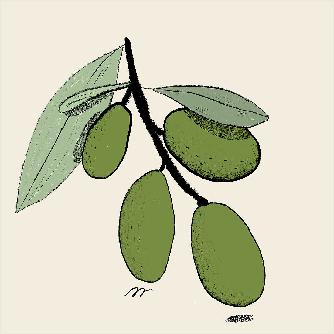 A textured illustration featuring a branch of green olives with rich leaves, captured in a minimalist and artistic style.