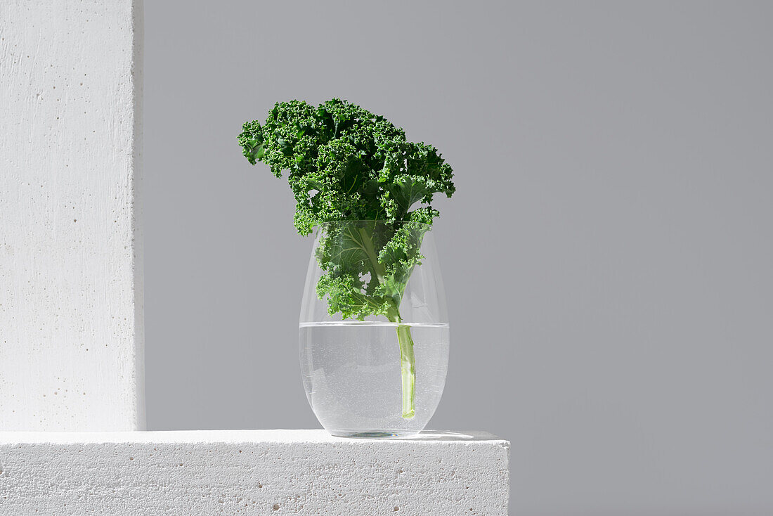 Fresh green kale leaves presented in a transparent glass filled with water, set against a minimalistic grey and white backdrop