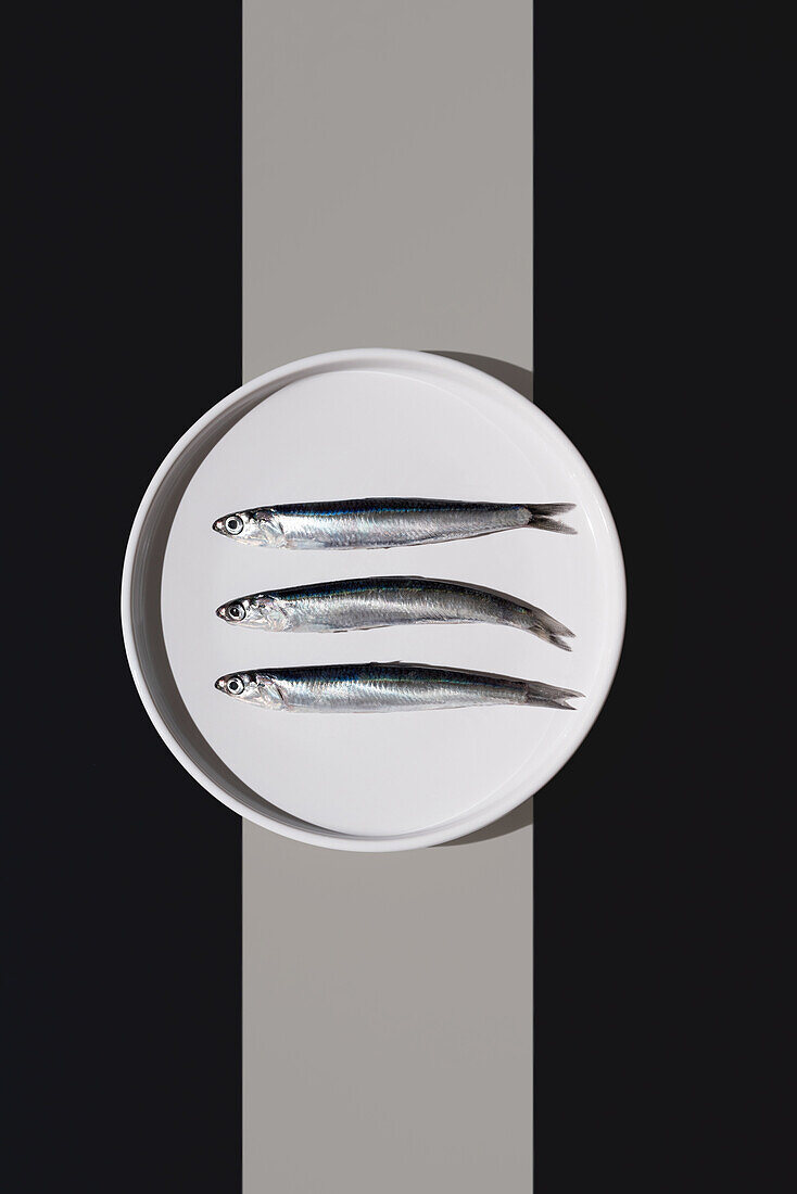 Top view of three silver anchovies are presented on a white plate with a stark split of light and shadow, creating a dramatic visual composition