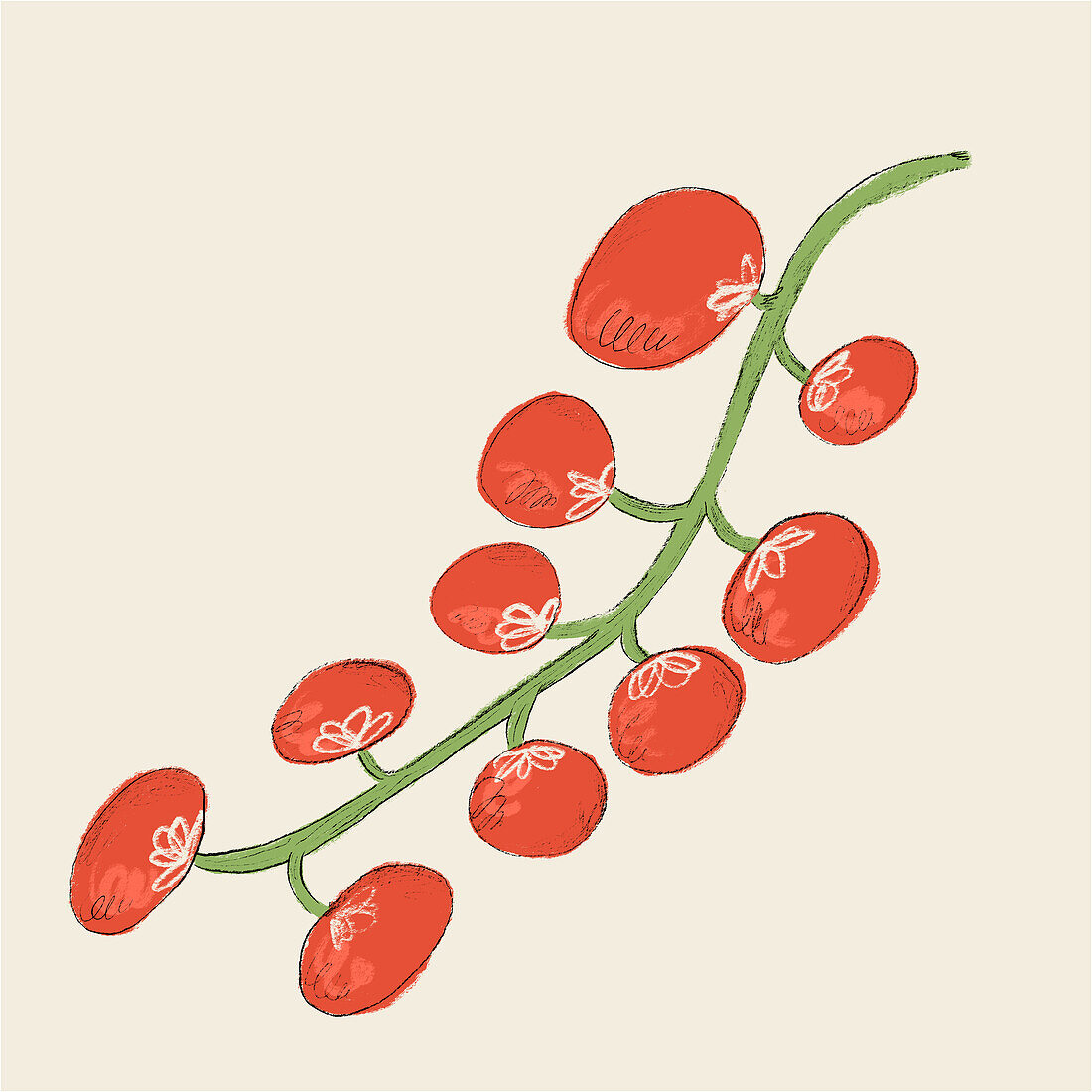 Digitale Illustration, die einen handgezeichneten, stilisierten Zweig mit reifen Kirschtomaten vor einem hellbeigen Hintergrund zeigt.