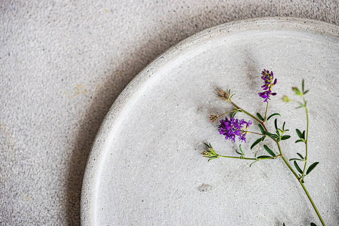 Draufsicht auf einen einfach gedeckten Tisch mit einem Keramikteller und einem zarten Zweig lila Wildblumen, der eine minimalistische und natürliche Sommeratmosphäre schafft