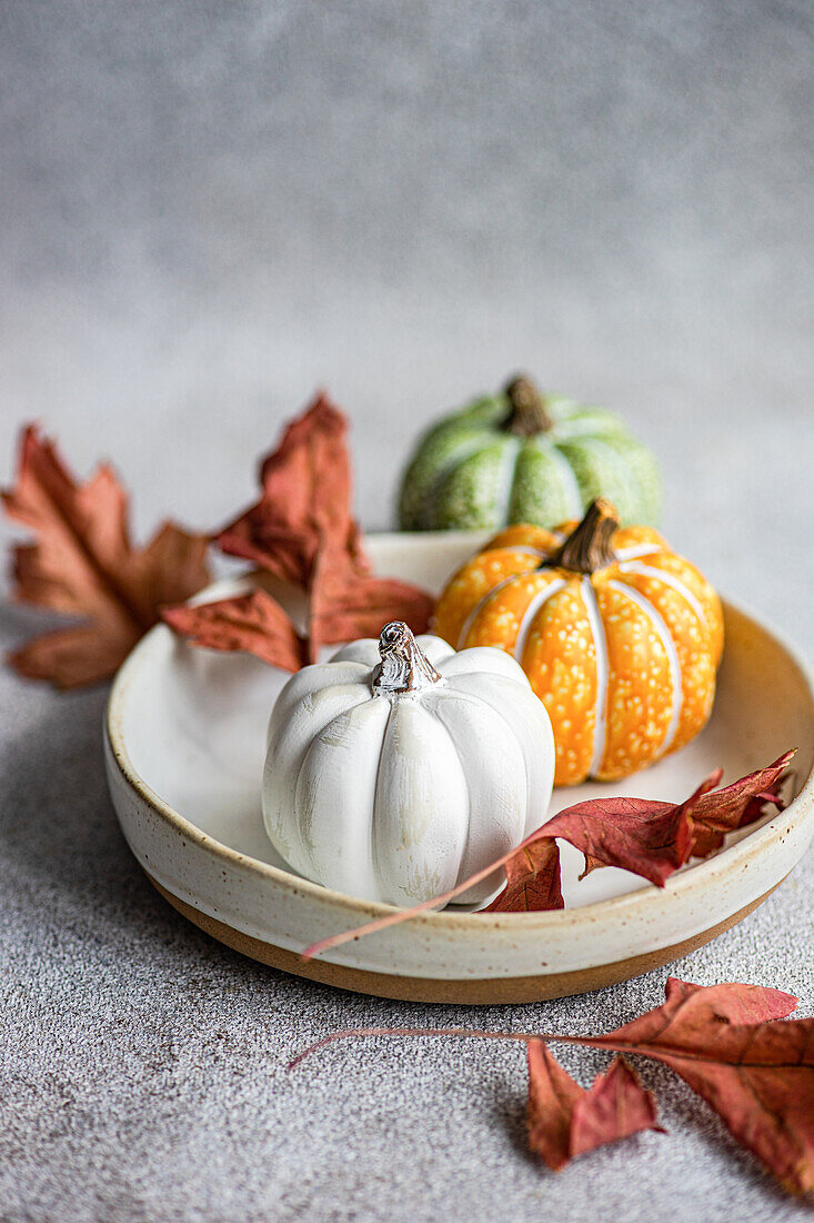 A serene autumn-themed arrangement featuring a variety of colorful pumpkins and dried maple leaves in a textured ceramic bowl on a textured grey backdrop