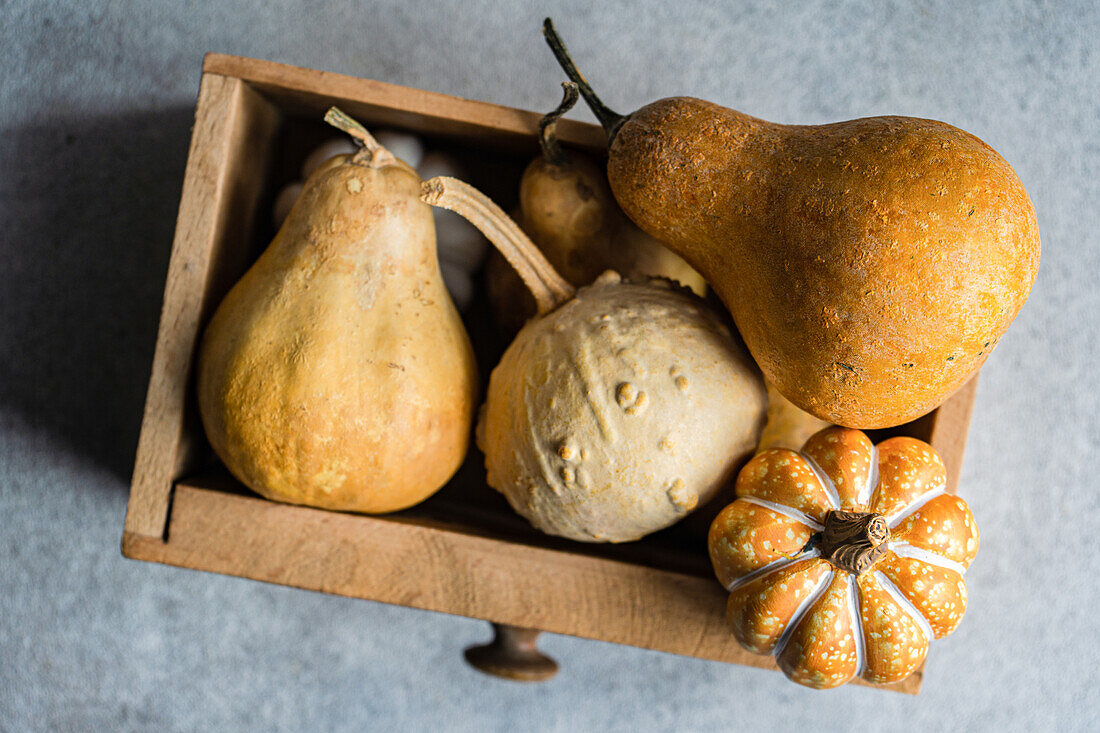 Ein rustikales, herbstliches, flaches Display mit Kürbissen und Kürbissen in einem alten Holztablett auf einer strukturierten grauen Oberfläche