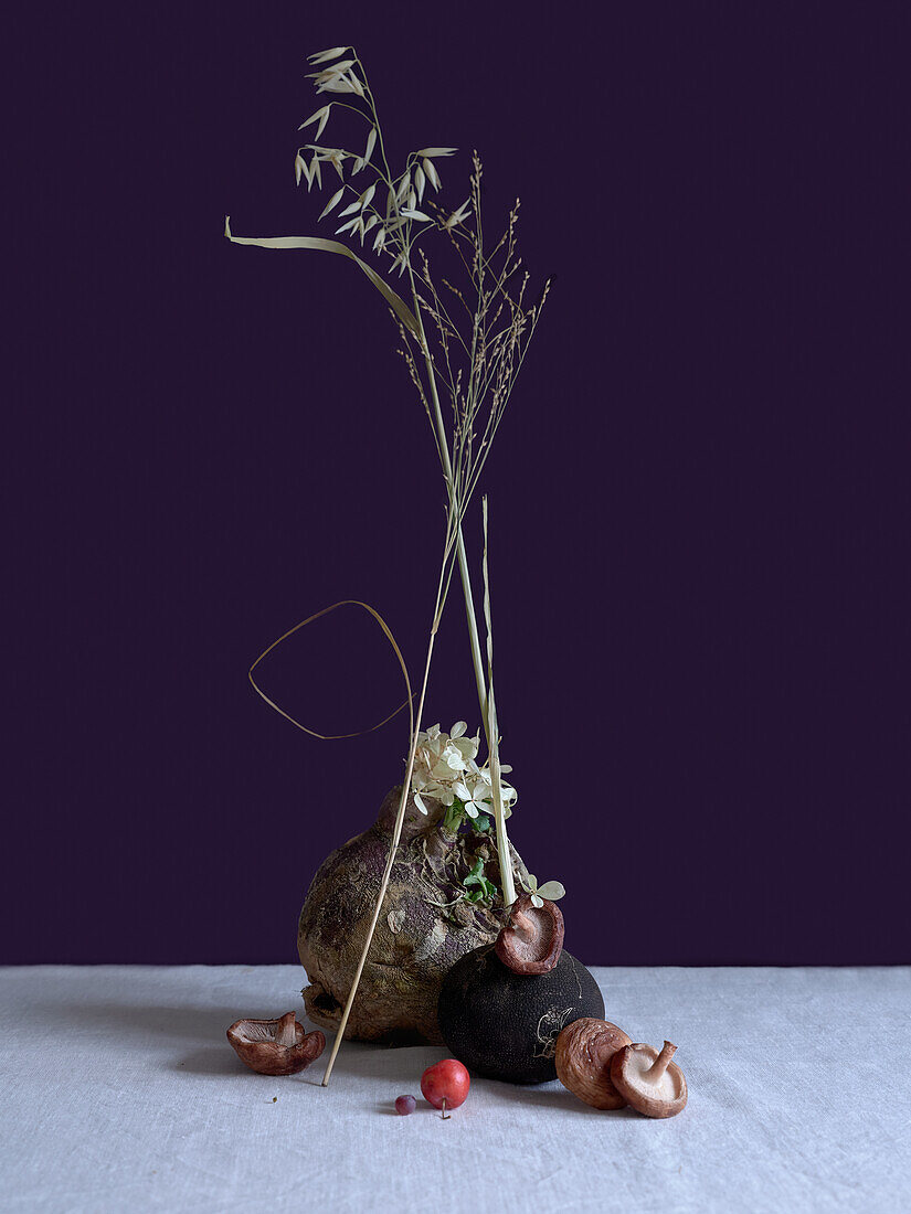 Artistic still life featuring a black radish adorned with delicate flowers, alongside shiitake mushrooms and vibrant crab apples on a textured surface against a purple background.