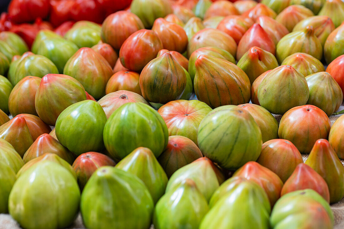 An assortment of vibrant, striped tomatoes artfully arranged, showcasing their unique patterns and colors