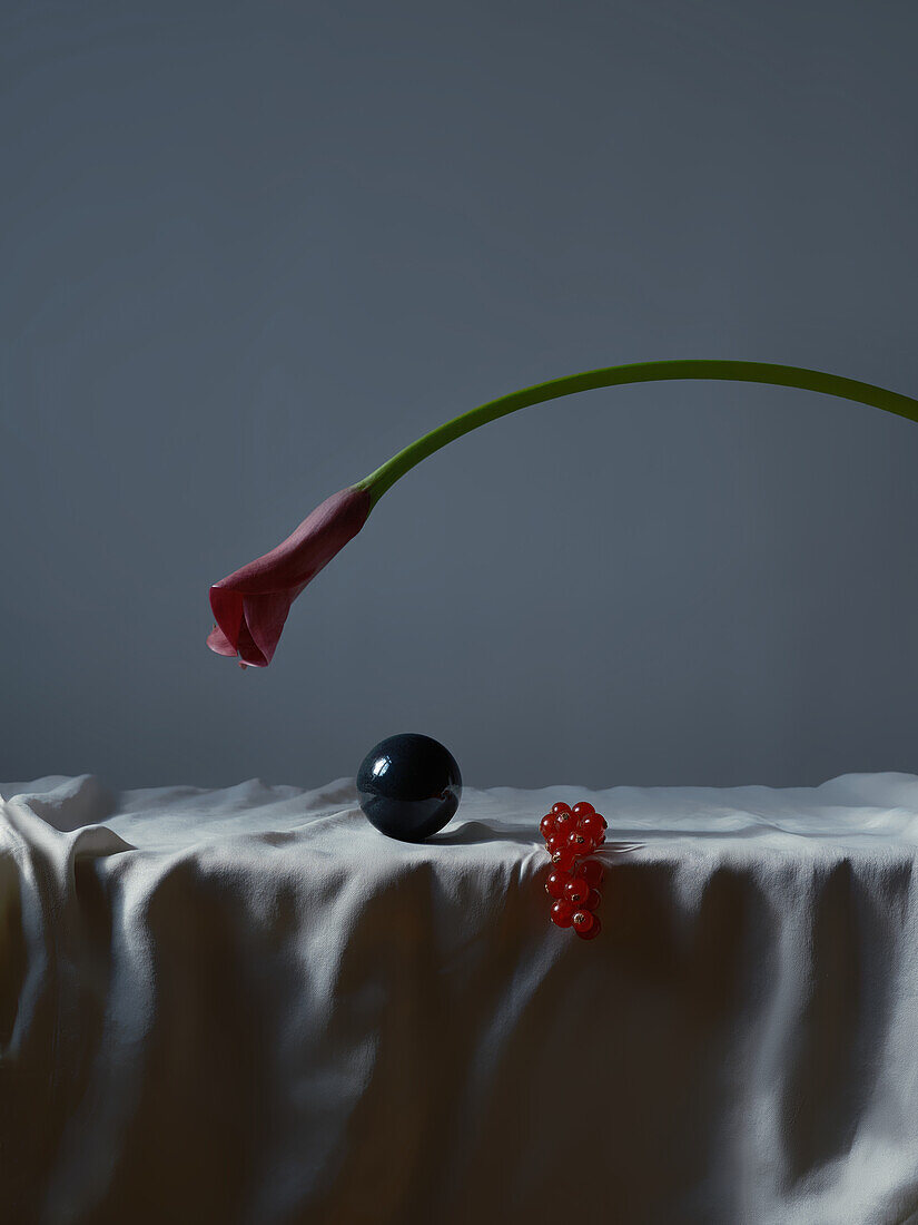 An artistic still life featuring a folded pink calla lily flower, a reflective black sphere and a currant bunch ornament, all carefully arranged on a delicately draped white fabric