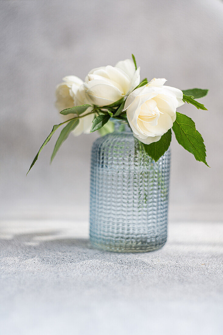 A serene composition featuring white roses arranged in a textured blue glass vase on a grey textured background, showcasing a fresh and minimalist aesthetic