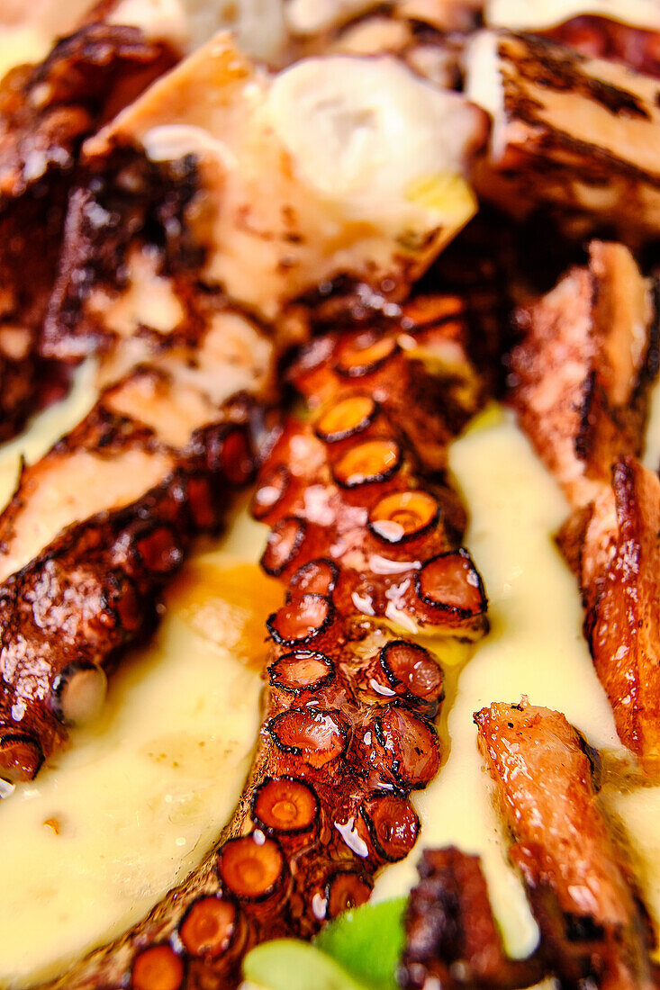 Close-up image of grilled octopus tentacles served with a creamy sauce and fresh herbs, showcasing vibrant colors and textures.